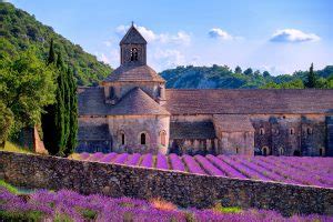 Unsere ferienwohnungen können bis zu 5 personen beherbergen und sind voll ausgestattet (guter deutscher. Lavendelfelder - Wann blüht der Lavendel in der Provence?