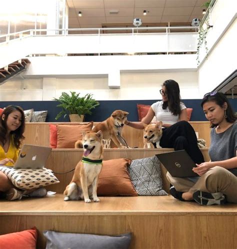 Common ground is the largest container shopping mall in the world. Pet-friendly workspaces 🐶 https://vulcanpost.com/657308 ...