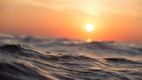Jika anda bermimpi melihat genangan air yang sangat jernih di kebun anda. Mimpi Melihat Ombak di Laut Lepas Bermakna Positif ...
