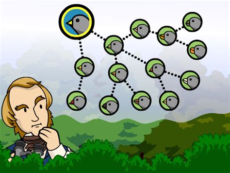 Manipulate the mutation rate, and determine how mutation rate affects adaptation and evolution. Student Exploration Evolution Natural And Artificial ...