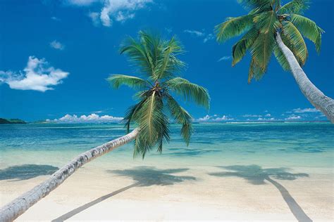 Maybe you would like to learn more about one of these? Mexico Wallpapers | Best Wallpapers