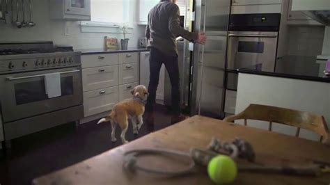 And a healthier dog is a dog that can spend more years as your kid's best friend, your. The Farmer's Dog TV Commercial, 'What Real Food Looks Like ...