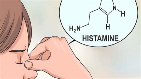 Sering kali, tinnitus, atau dengungan pada telinga disebabkan oleh kondisi yang dapat diatasi. Petua Hilangkan Hidung Tersumbat - My Sumber Maya