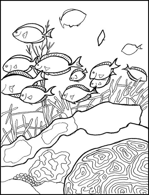 Download coral reef coloring pages and use any clip art,coloring,png graphics in your website, document or presentation. Coral Reef Coloring Book Page | Coloring pages, Ocean ...