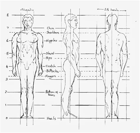 Please respect each stuff and artist, no stolen draw, do not claim as your own, no redistribute. Learning to draw: Learning to see: Proportions of the Figure