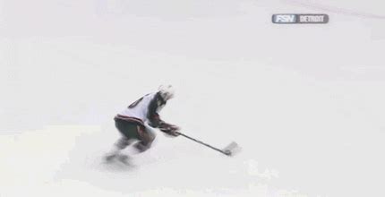 Nejaktivnější cz/sk stránka věnovaná dominátorovi! Dominik Hasek GIFs - Find & Share on GIPHY