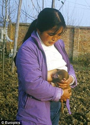 Mama cat raising abandoned chihuahua puppies. AMAZING STORIES AROUND THE WORLD: The Wife Who Breastfeeds MONKEYS Photo