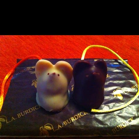 Find this pin and more on алика by julia green. LA Burdick's chocolate mice ( milk and white), Harvard ...