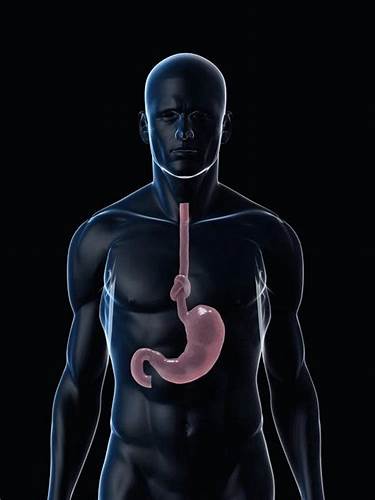 Диета детей после ротавируса