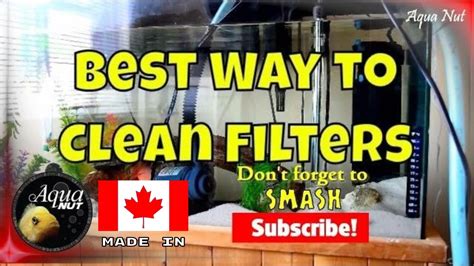 Using a berkey® filter will absolutely benefit your health by providing the cleanest water possible. How to Clean Canister / HOB Filter | Best Way to Clean ...