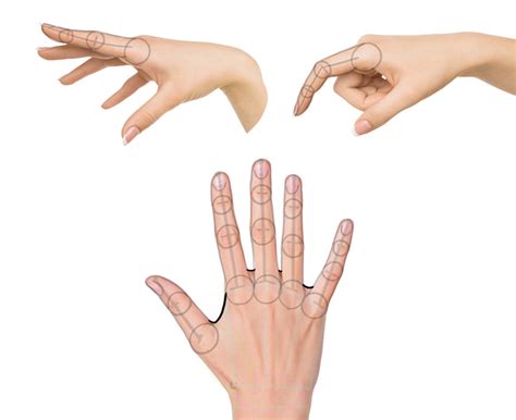 Semua bagian tubuh, tangan banyak dianggap sebagai yang paling sulit untuk digambar. Mentahan Tangan Berwarna : Gambar Menghadapi Hijau ...