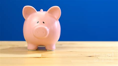 Navy blue piggy banks add name 3 sizes. Piggy bank against blue background with copy space ...