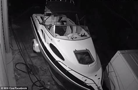 Naviguez à travers notre impressionnante collection de. Footage of thieves' steamy session on Cairns boat emerges ...