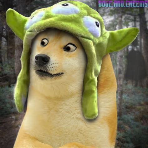 Check out this fantastic collection of doge wallpapers, with 46 doge background images for your desktop, phone or tablet. 1080 X 1080 Doge : 1080 dogecoin (doge) kaç türk lirası (tl) eder en son güncel kur fiyatına ...