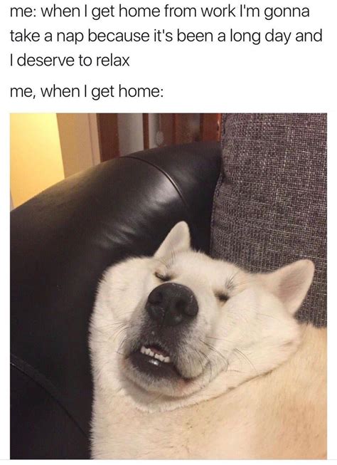 Just two gfs making wholesome memes for each other and everyone else. The 50 Best Clean And Wholesome Memes | 50 Best- Part 5