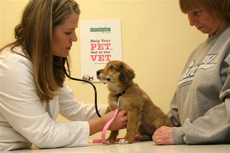 Plans covering wellness, illness, emergency & more. Pet insurance - CSMonitor.com