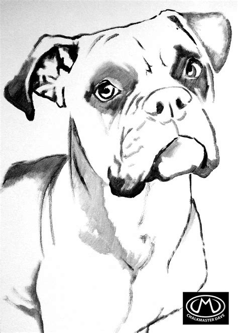 Search through 623,989 free printable colorings at getcolorings. Boxer colouring page | Boxer dogs art, Animal drawings ...