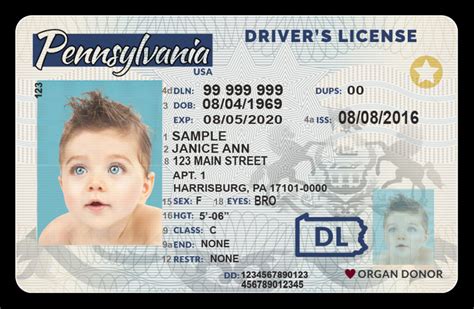 Download Pennsylvania Driver License front and back - Adi Fashion
