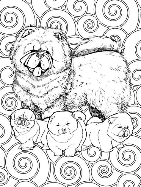 16k views · september 28, 2017. Chow Chows | Dog coloring page, Boo the dog, Dog blanket