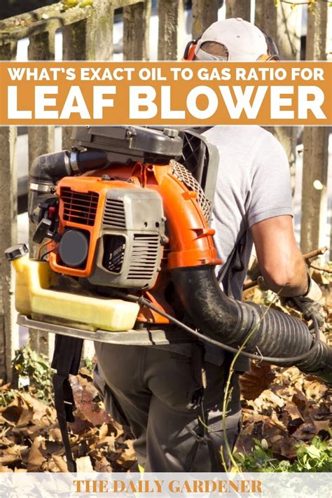 Check spelling or type a new query. What's Exact Oil to Gas Ratio for Leaf Blower? (Tips to Mix)