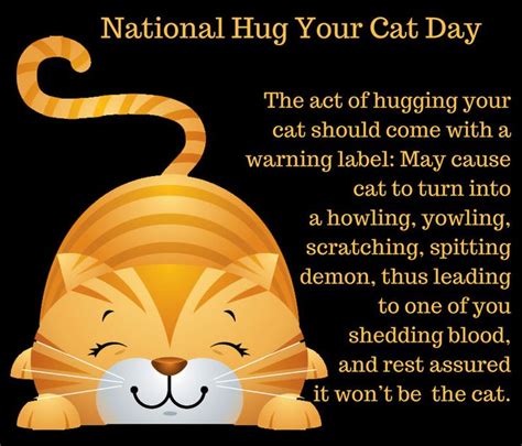 Hug your cat day reminds us all to give our kitties a little tlc to thank them for their friendship and loyalty. Column: To hug or not to hug your cat | Hug your cat day ...