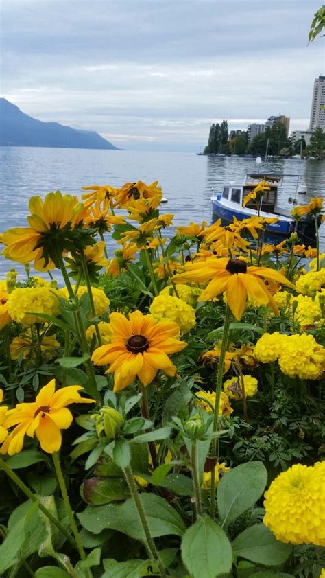 Switzerland is known for its mountains (alps in the south, jura in the northwest) but it also has a central plateau of rolling hills, plains, and large lakes. ปักพินในบอร์ด สวิตเซอร์แลนด์