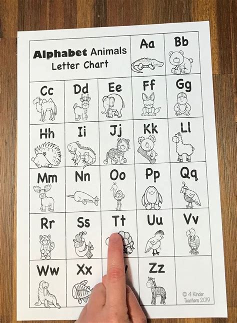 6 the orthography is mostly phonetic, or rather phonemic—the written letters (or combinations of them) correspond in a consistent manner to the sounds, or rather the … 6 Ways to Use an ABC Chart FREE Printable - 4 Kinder Teachers in 2020 ...