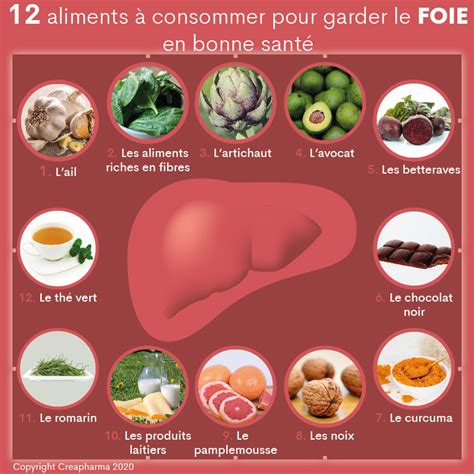 12-aliments-a-consommer-pour-garder-le-foie-en-bonne-sante | Creapharma