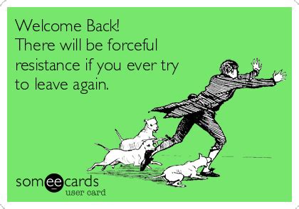 We started here together and now we are leaving the same way. Welcome Back Funny Quotes. QuotesGram