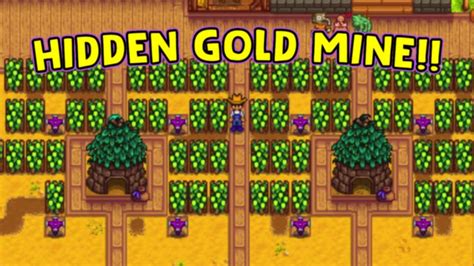 Void and solar essences actually sell for a pretty good eventually, you're going to want kegs because wine is generally the most profitable thing in stardew valley. The BEST Way to Make Money in Stardew Valley! - YouTube