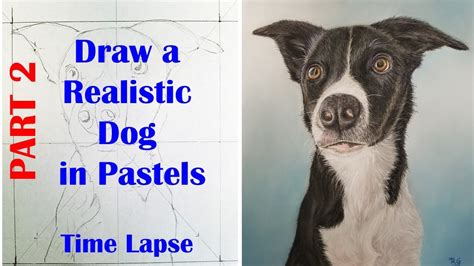 How to draw slinky dog from toy story. How to Draw a Realistic Dog in Pastels - Part 2 ...