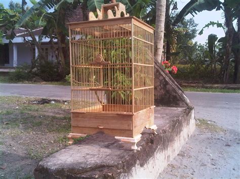 Burung murai membuat alat membengkokkan ruji bambu untuk sangkar bulat (s41). Pemgamatan Usaha Pengrajin Sangkar Burung - SansBlog