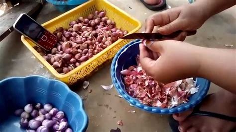 Cara nak elak bawang merah tumbuh. Tips Makanan Sedap & Tahan Lama