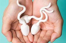 sperm semen fertility getty washing netdoctor actually esperma femme