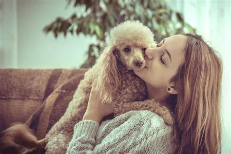 Check how well you know fruits and vegetables. Survey: Women Love Their Dog More Than Their Partner ...