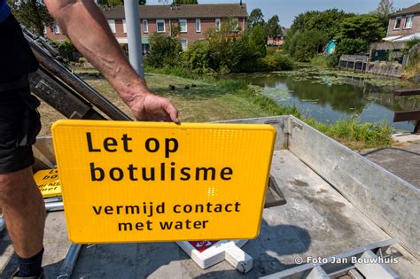 Le botulisme est une maladie dangereuse causée par une infection avec les botulinums de clostridium de bactéries. Botulisme op Rauwenhof Tiel | de Tielenaar