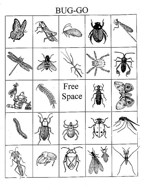 This printable unit is about bugs. Free+Printable+Insect+Bingo+Cards (With images) | Bingo ...