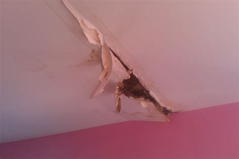 We did not find results for: The Birmingham Handyman - water damaged drywall ceiling