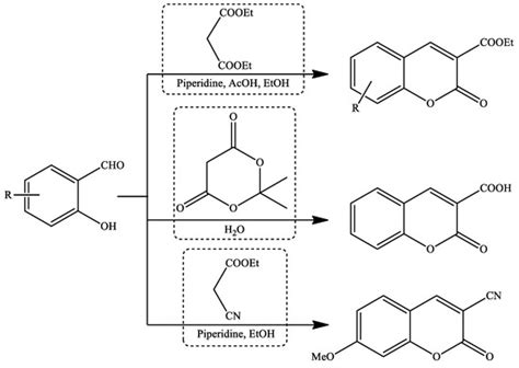 Full proposal deadline(s) (due by 5 p.m. Dna Contains Instructions For Making What Other ...