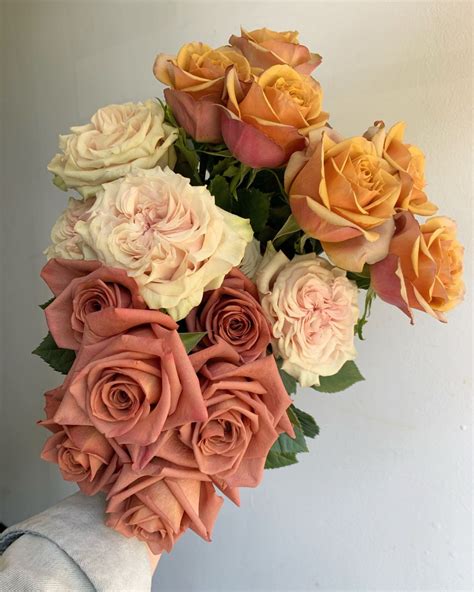 Filed under:best of, best of orange county, botanical gardens, eat.see.play, elle toussi, flowers, see. Mixed roses in 2020 | Wholesale flowers wedding, Wholesale ...