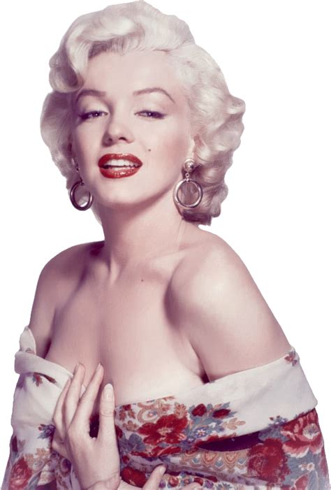 Refer to our monroe brakes® online catalog. Marilyn Monroe PNG