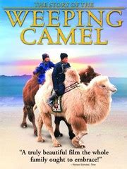 A film about the consciousness of camels and the effects of the modern world on the traditional nomadic mongolian way of life. Слёзы верблюдицы — Википедия