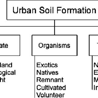 Disintegration (physical) and decomposition (chemical) of rocks and minerals (ii) the development or the formation of true soil by some soil forming factors and pedogenic processes. The five state factors of soil formation originally ...