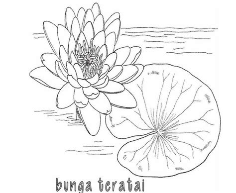 Berikut ini adalah hasil dari gambar bunga yang telah diwarnai. Sketsa Taman Bunga Hitam Putih | Ideku Unik