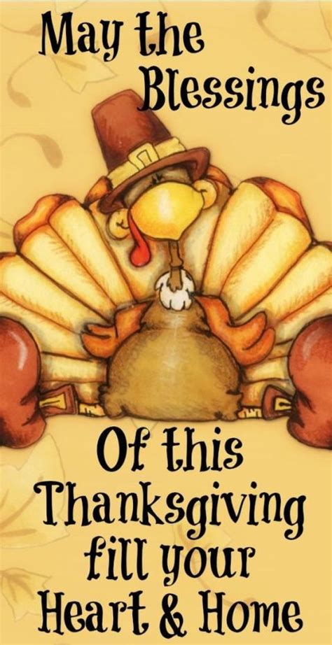 We offered the turkey some dinner, but he was already stuffed. 180+ Best Thanksgiving Captions for Instagram | The Random ...