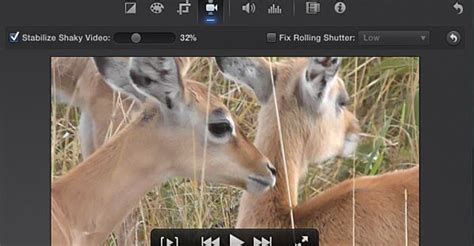 We did not find results for: 2020 Updated Blurry Video Clearer to Make Videos Clearer ...