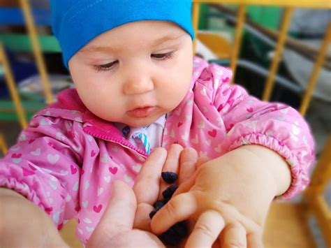 Ab wann und warum brauchen babys einen winterschlafsack? Ab wann dürfen Babys Beeren essen? | Babyled Weaning
