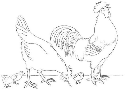 Color pictures, email pictures, and more with these pets coloring pages. Chick #79 (Animals) - Printable coloring pages