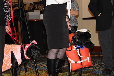 2014-11-15 2014 Fetching Ball - Stacy Wilkinson 150 | Flickr