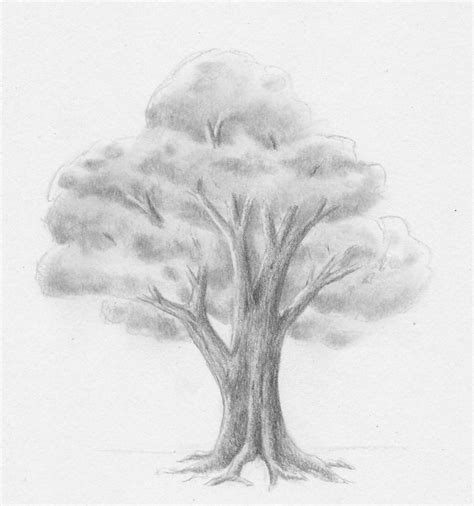 Baum mit landschaft malen in acryl auf mdf. Laub - Baum - zeichnen lernen - Zeichenkurs